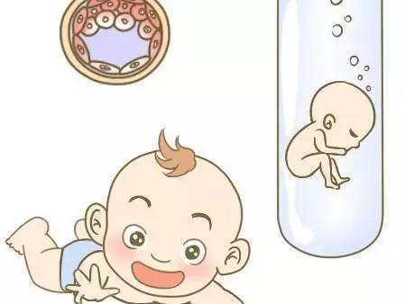 胚胎培养